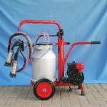 Portable milker for cows single